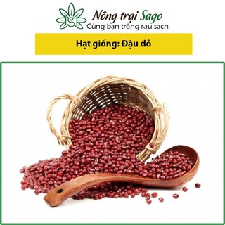 Hạt giống Đậu đỏ nảy mầm tốt, trồng quanh năm, ít sâu bệnh, dễ chăm sóc - Hạt giống Rau củ quả Green House