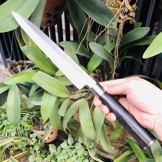Dao làm bếp sashimi Nhật hiệu Takayuki dài 40cm, lưỡi dài 26cm, dày 3mm, rất sắc bén, không rỉ sét