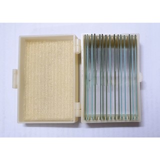Bộ 15 mẫu tiêu bản cho kính hiển vi - Hàng chính hãng