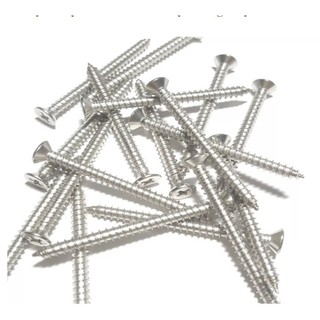 Vít đầu bằng inox (100g)
