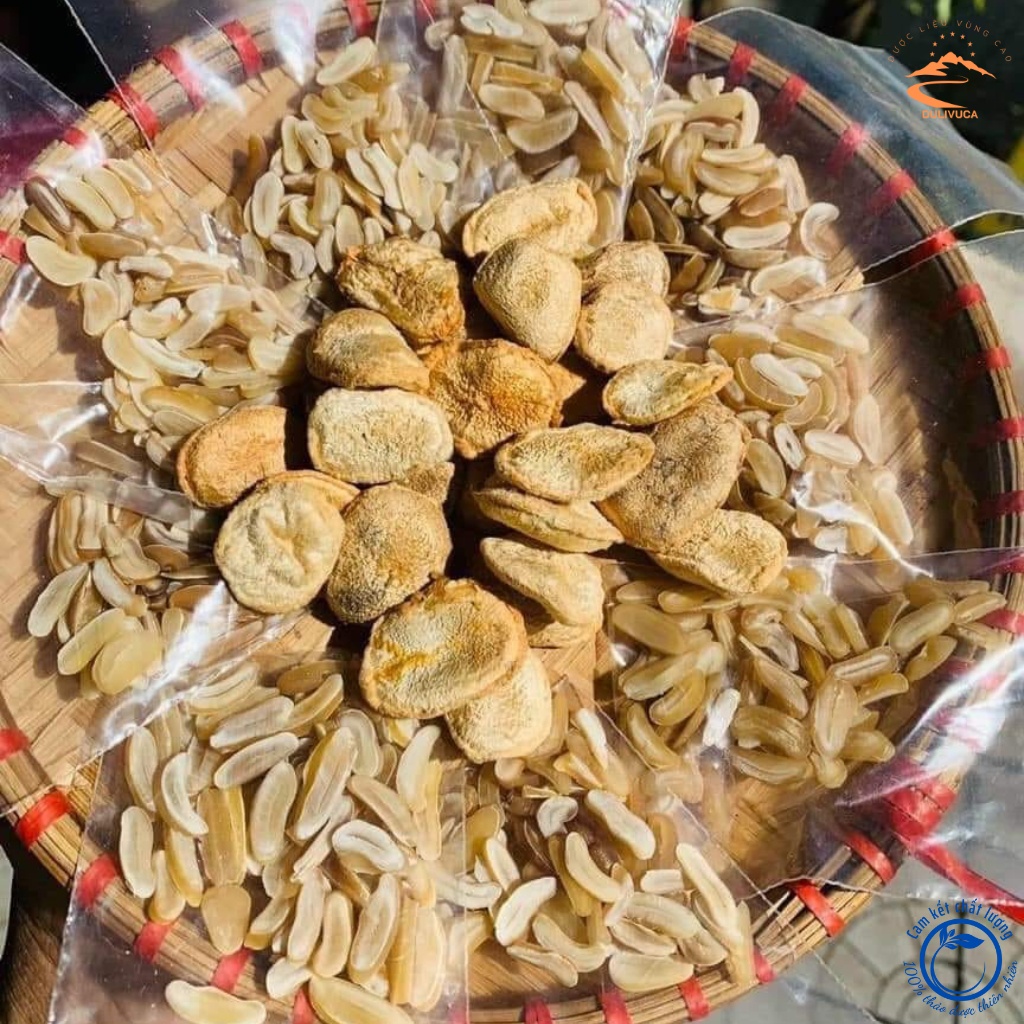 Hạt Sang, Hạt Sành Chữa Đau Dạ Dày, Đại Tràng, Đi Ngoài, Phân Lỏng, Khó Tiêu Của Người Dân Tộc H. Mông