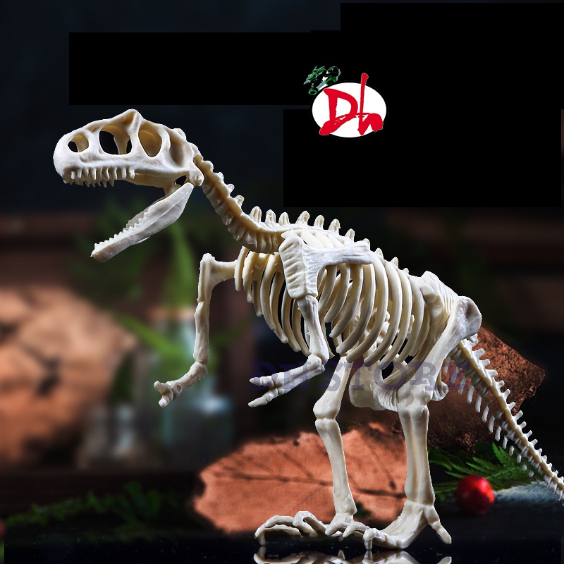 Đồ chơi đào hóa thạch khủng long kèm phụ kiện đi cùng cho bé