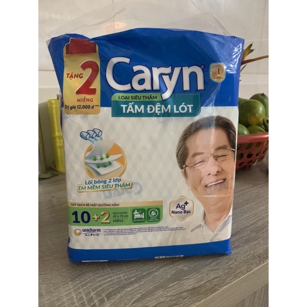 Tấm Đệm Lót XL Nano Bạc cho người lớn tuổi 42 x 72 cm