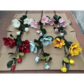 Mộc lan đại 2 nụ 2 bông