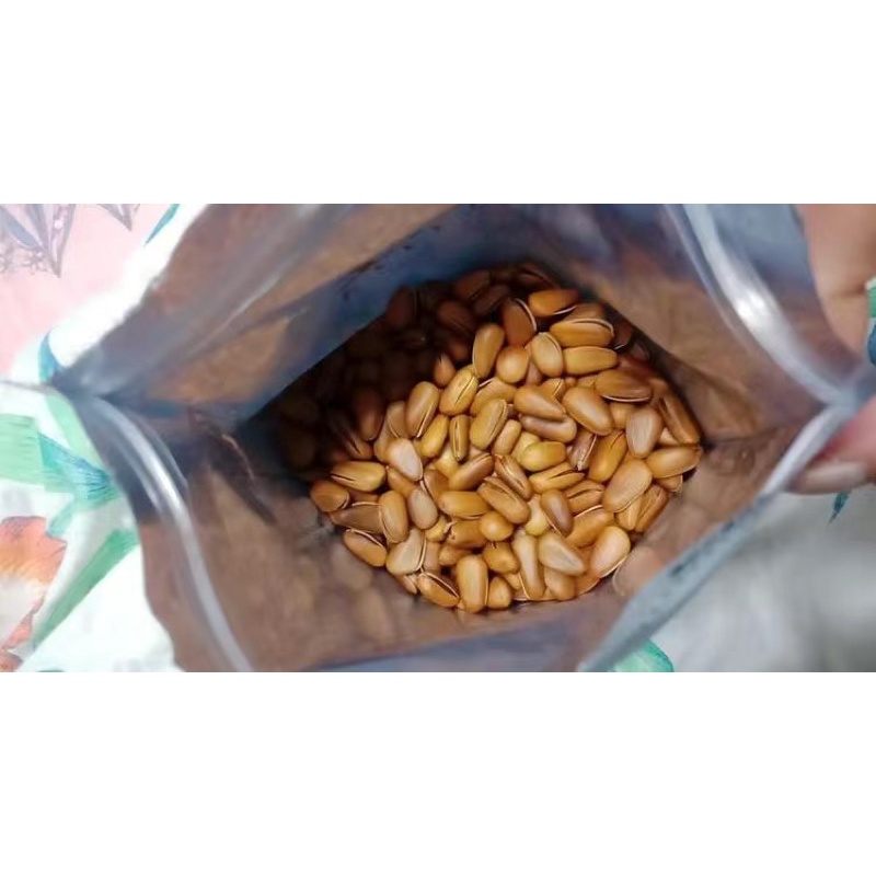 Hạt thông (hàng mới sấy chất lượng )500gr