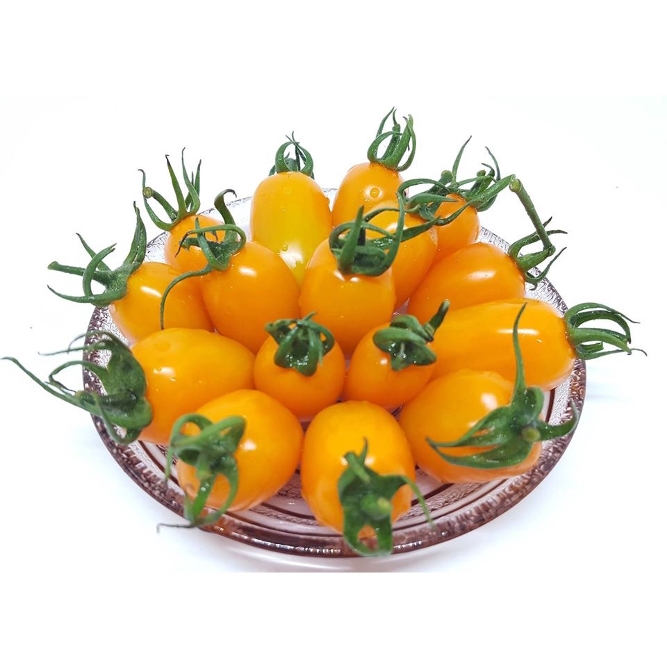 10h Hạt Giống Cà Chua Trái Cây F1 CHỊU NHIỆt