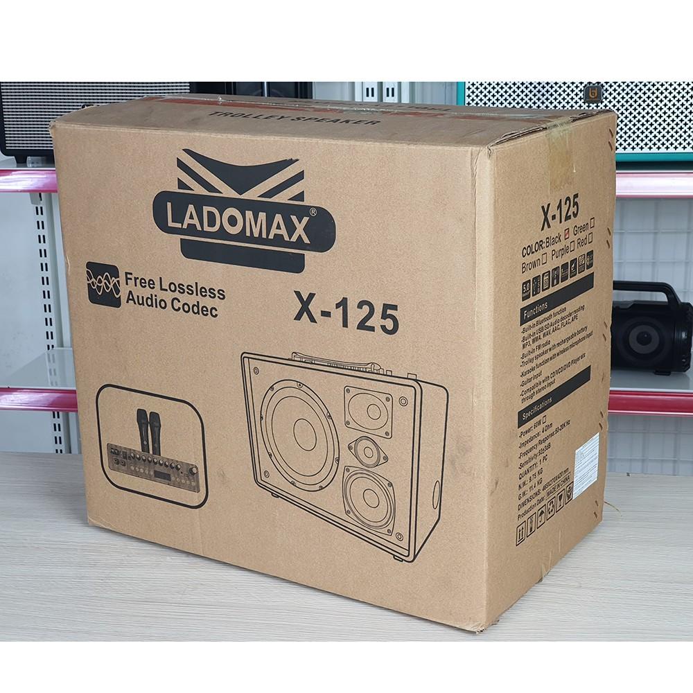 Loa karaoke xách tay Ladomax X-125 thiết kế 4 đường tiếng, chống hú và chống nhiễu, kèm 2 micro không dây