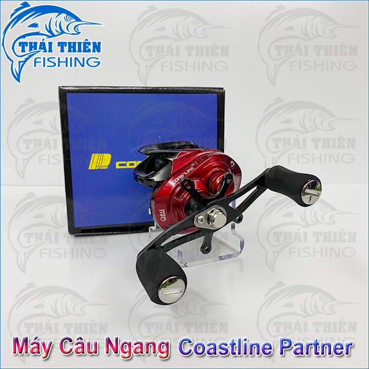 Máy Câu Ngang Coastline Partner 8.0:1 Tay Quay Trái Dùng Lure Cá Lóc, Chẽm, Mú