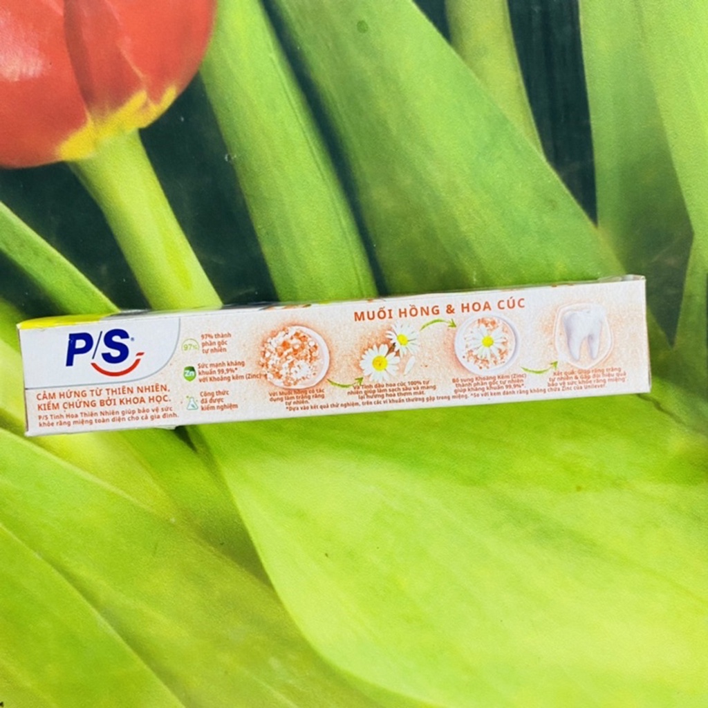 Combo 10 tuýp kem đánh răng PS muối hồng & hoa cúc- Hàng tặng 30 g
