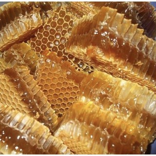 Mật ong rừng nguyên chất 100% - chai 1 lít