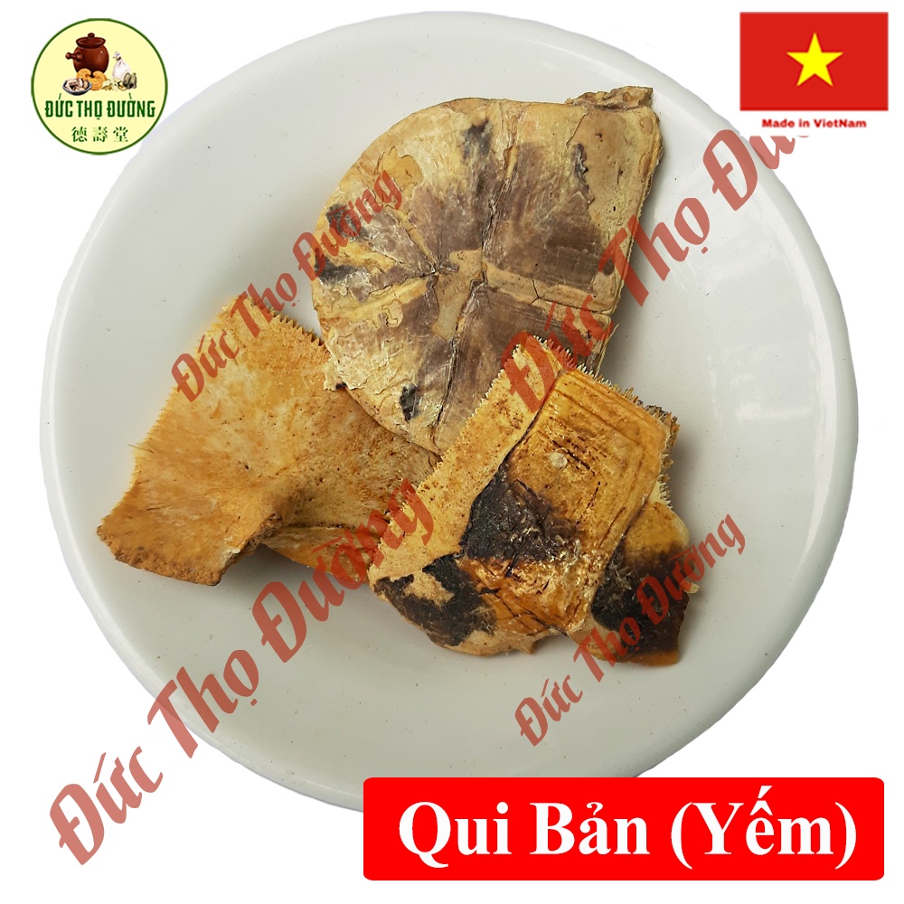 Quy Bản (Yếm rua) - Túi 100g