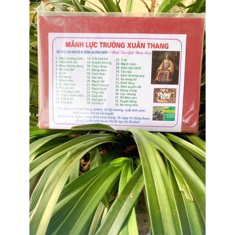 Mãnh Lực Trường Xuân Thang- bổ thận Tráng dương- chuẩn 39 vị