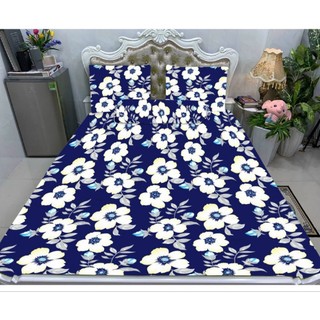 Drap (ga giường) thun lạnh Hàn Quốc cao cấp Bộ 4 món