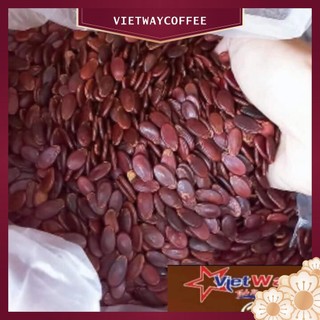 Hạt dưa ĐỈNH KÝ đặc biệt thơm ngon- đồ Ăn Vặt Xịn Sò thơm ngon
