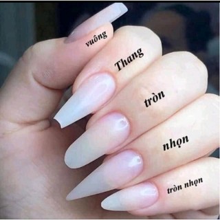 Nailbox nhũ flash