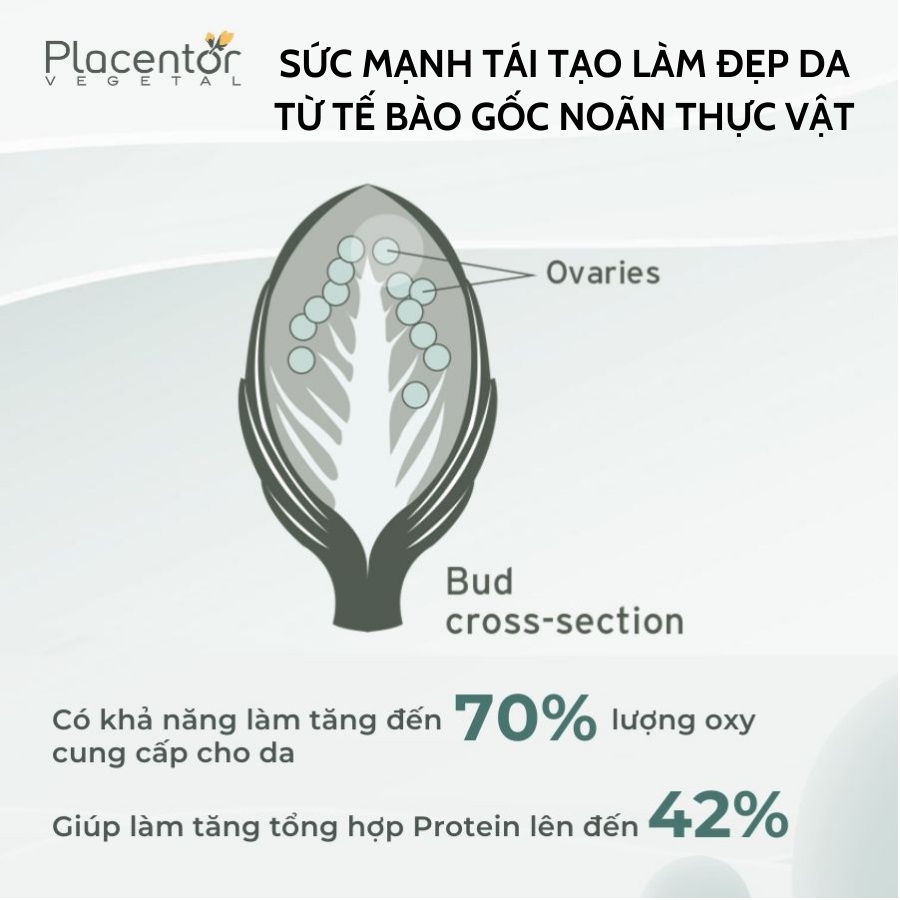 Bộ đôi sản phẩm chống lão hóa bảo vệ da Placentor Anti-Age spf50+ pa++++