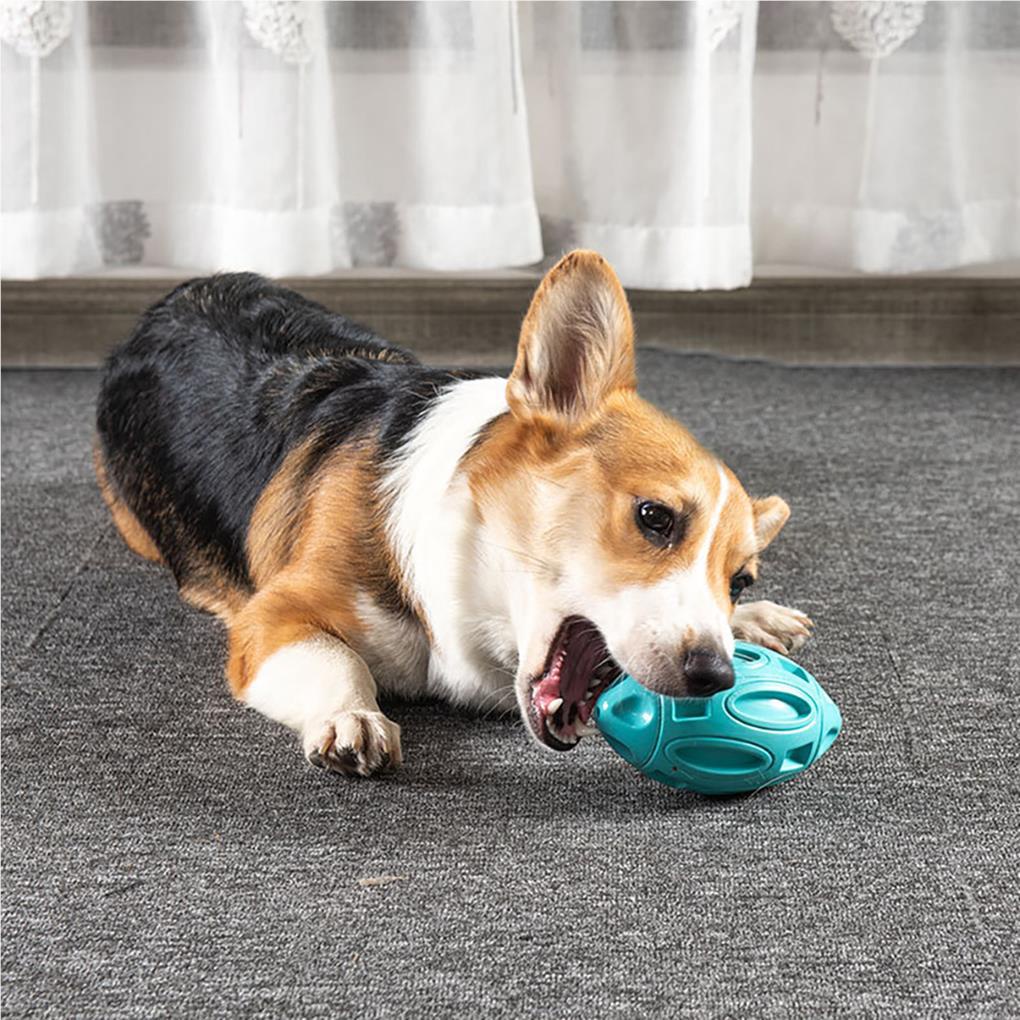 Bóng Cao Su Đồ Chơi Cho Thú Cưng