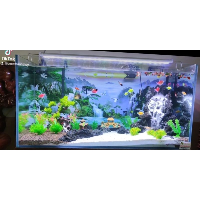 Thác Cát Cho Bể Cá Size 40cm ( Tặng cát)