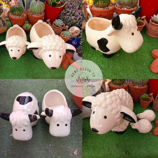 Tượng, chậu cây sen đá con bò, con cừu dễ thương-Gốm sứ tráng men cao cấp