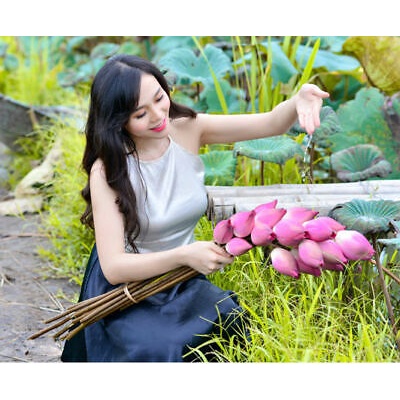 Váy yếm đào vải lụa cao cấp nhiều màu sắc