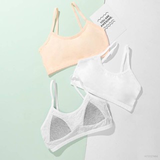 Áo lót vải cotton Nguyên Chất Không Gọng Viền Phong Cách Hàn Quốc Cho Nữ Sinh Trung Học