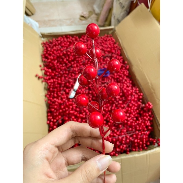 100 nhánh đào đông 12 quả