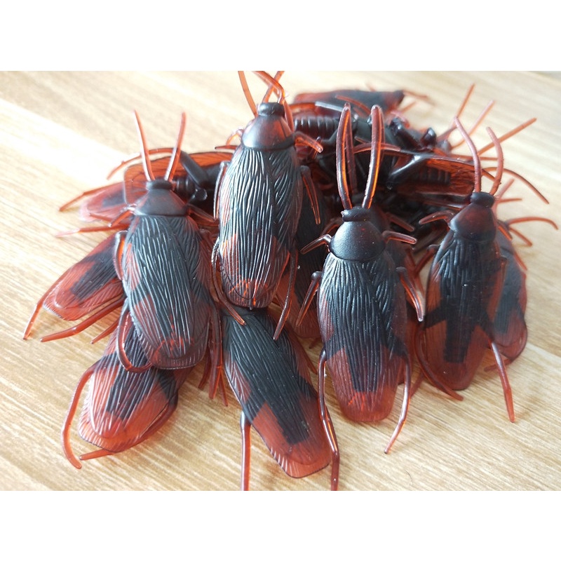 Côn Trùng Giả Như Thật, Đồ Chơi Gián Giả Như Thật