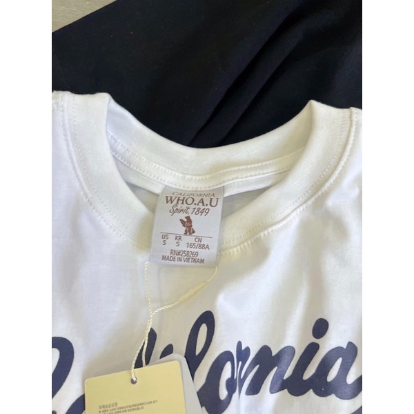 Áo thun Gấu lửng