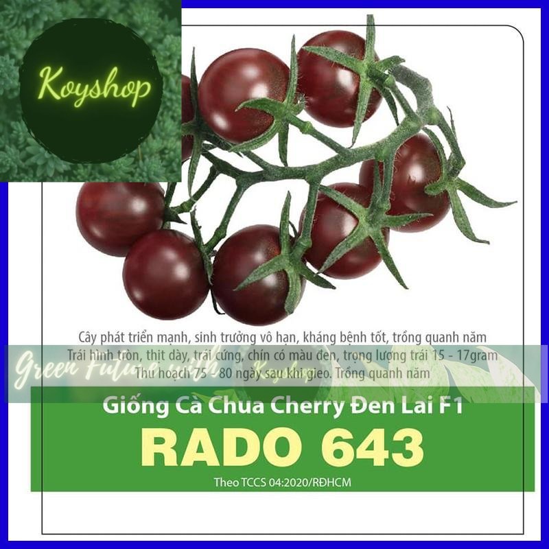 Hạt Giống Cà Chua Cherry Đen Lai F1 - Rado Seeds X 2 gói - Giá sỉ tốt hơn!