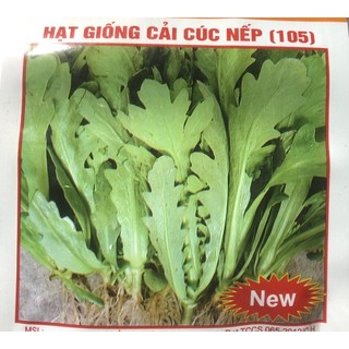 Hạt giống Cải cúc Nếp (gói 20 gr)