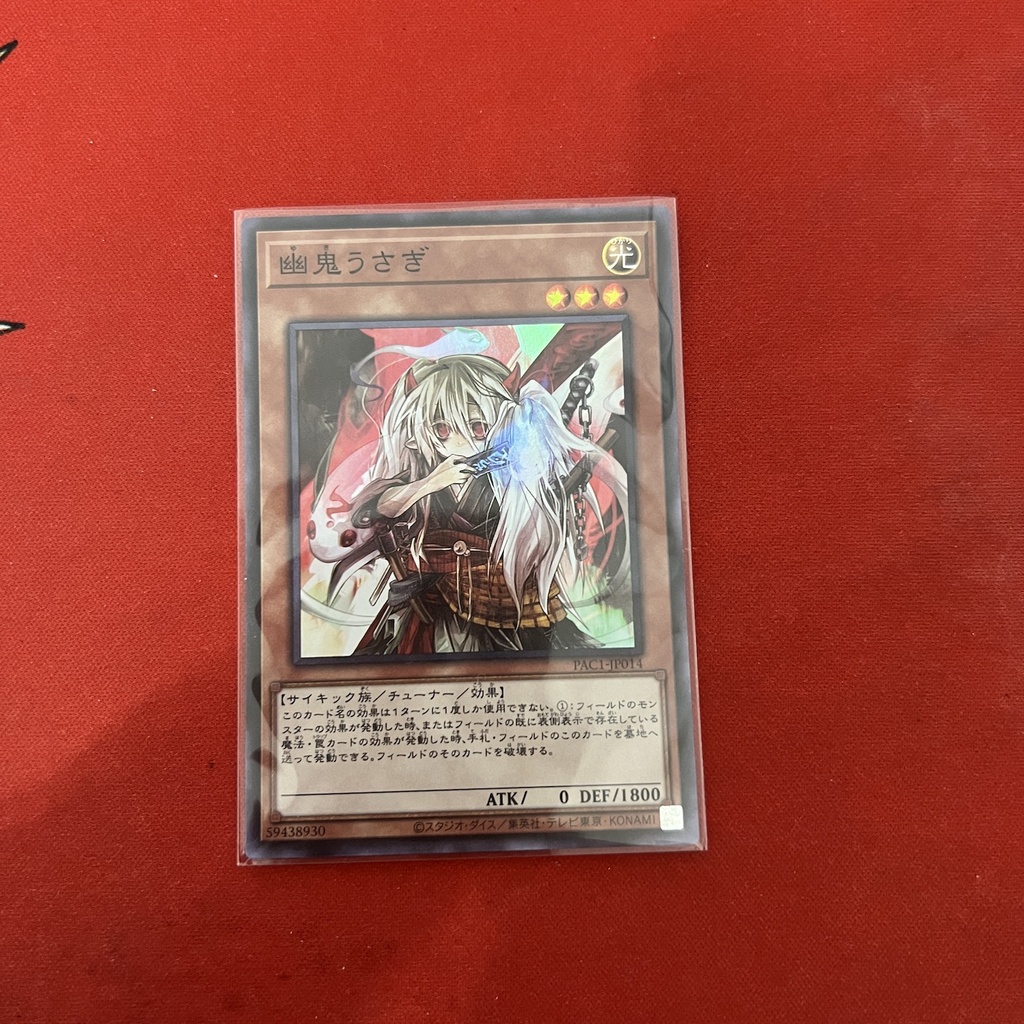 Ghost Ogre & Snow Rabbit