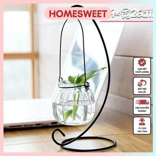 Bình thủy tinh trồng cây thủy sinh kèm giá treo