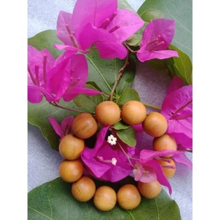 chuỗi gỗ quỹ kiến sầu