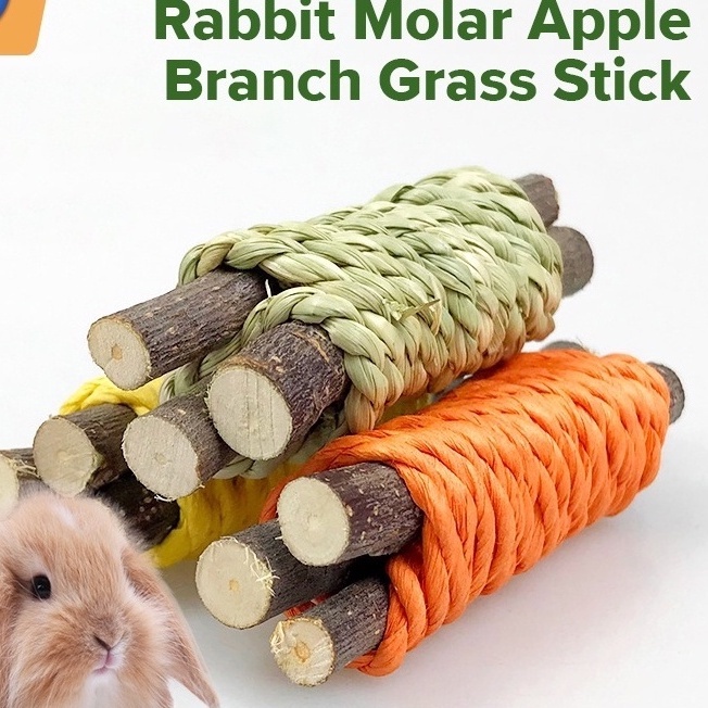 Đồ chơi gặm nhấm mọc răng MASTI LI0487 hình cành táo cho thỏ/ chuột Hamster
