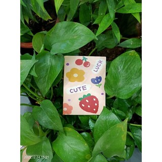sổ mini cute