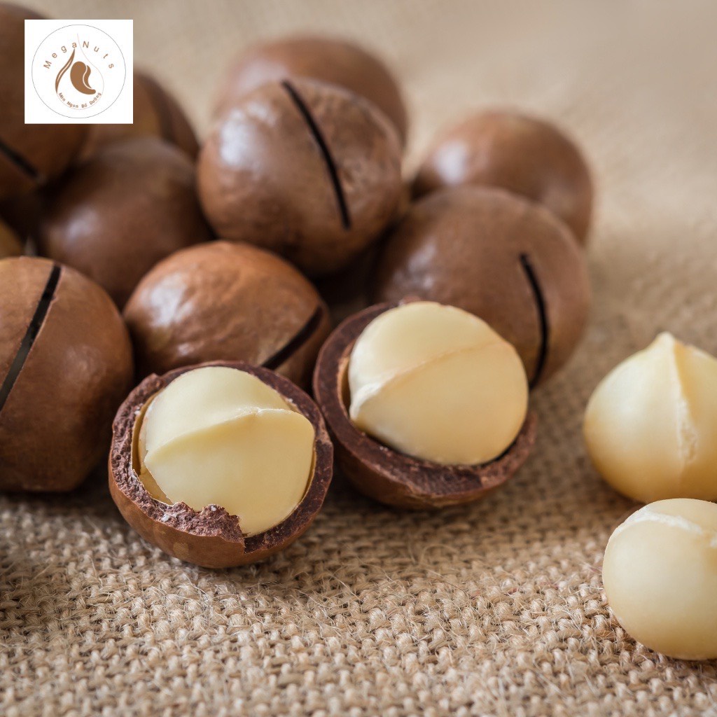 nhân hạt macca gói 100.gram - Nhân hạt macca tách vỏ Đắk Lắk