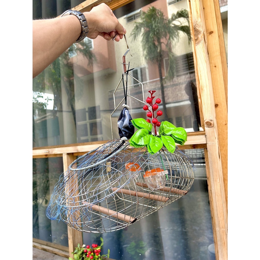Lồng Bẫy Chào Mào Inox Kèm Phụ Kiện