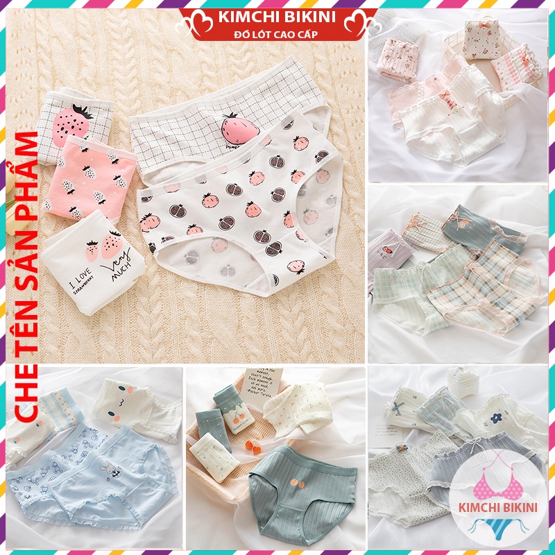 quần lót nữ viền ren vải mềm chống viêm nhiều màu sắc mẫu mã đa dạng KIMCHIBIKINI quần chip nữ xinh đẹp QL161