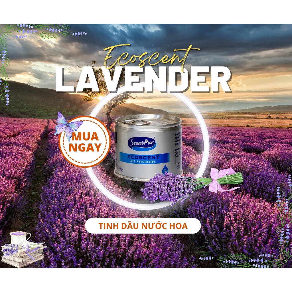 Tinh dầu thơm phòng cao cấp ScentPur 75g Với 10 hương thơm