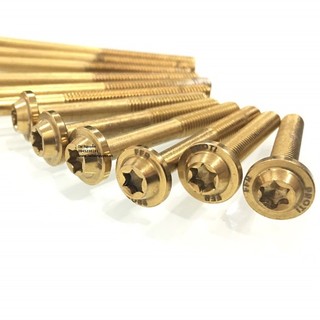 THANH LÝ - ỐC PROTI THÁI SIZE TỪ 6X40 ĐẾN 6X90 MÀU VÀNG VÀ TITAN