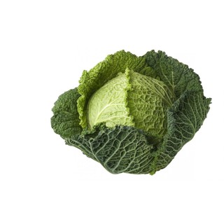 1Gr Hạt Giống Cải Bắp Nhăn Savoy