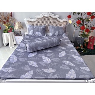 ga thun hàn quốc ( nhiều mẫu)