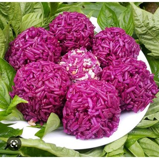 Cây giống lá cẩm tím