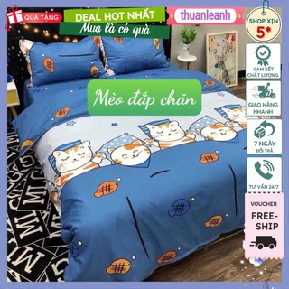 Set ga gối poly cotton kèm 2 vỏ áo gối nhiều kích thước 1m,1m2,1m4,1m6