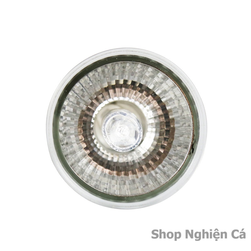 Đèn sưởi UVA + UVB 3.0 25w 50w 75w cho rùa, ếch và vật nuôi
