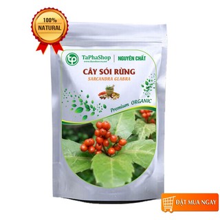 Cây sói rừng khô