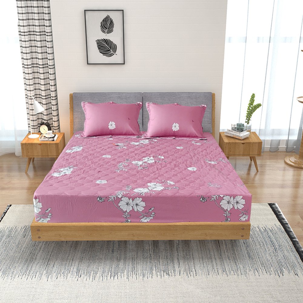 Bộ ga chun 1m5x1m9 Sông Hồng chất cotton loại có chần