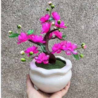 Chậu hoa đào nhỏ để bàn - Hoa Tết