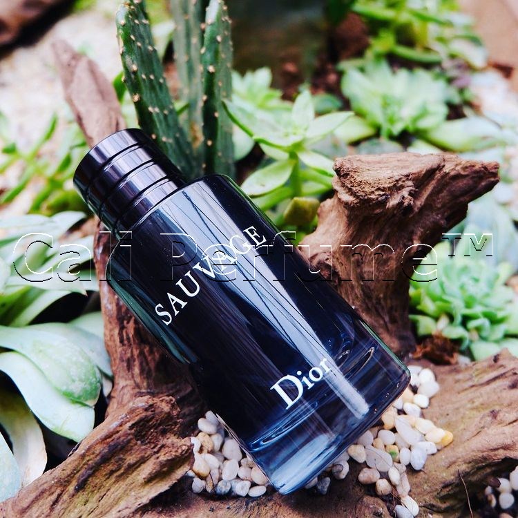 Nước Hoa Nam Sauvag EDT