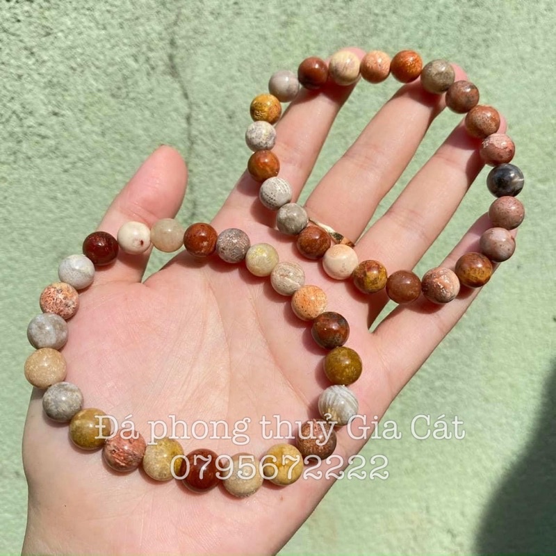 Vòng tay đá san hô hoá thạch triệu năm chuẩn vip kiểm định